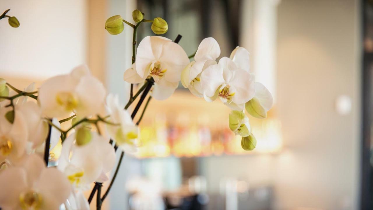 Heuboden Hotel Heu.Loft Freiburg Umkirch Luaran gambar